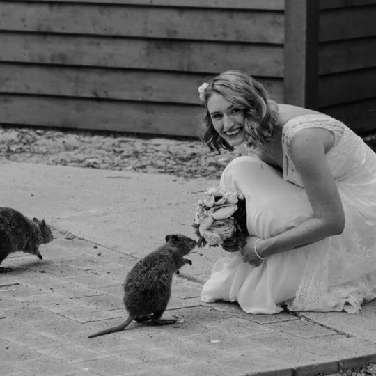 https://lovebird.gdcdevelopment.online/wp-content/uploads/2015/09/Ina-Quokkas-540x540.jpg