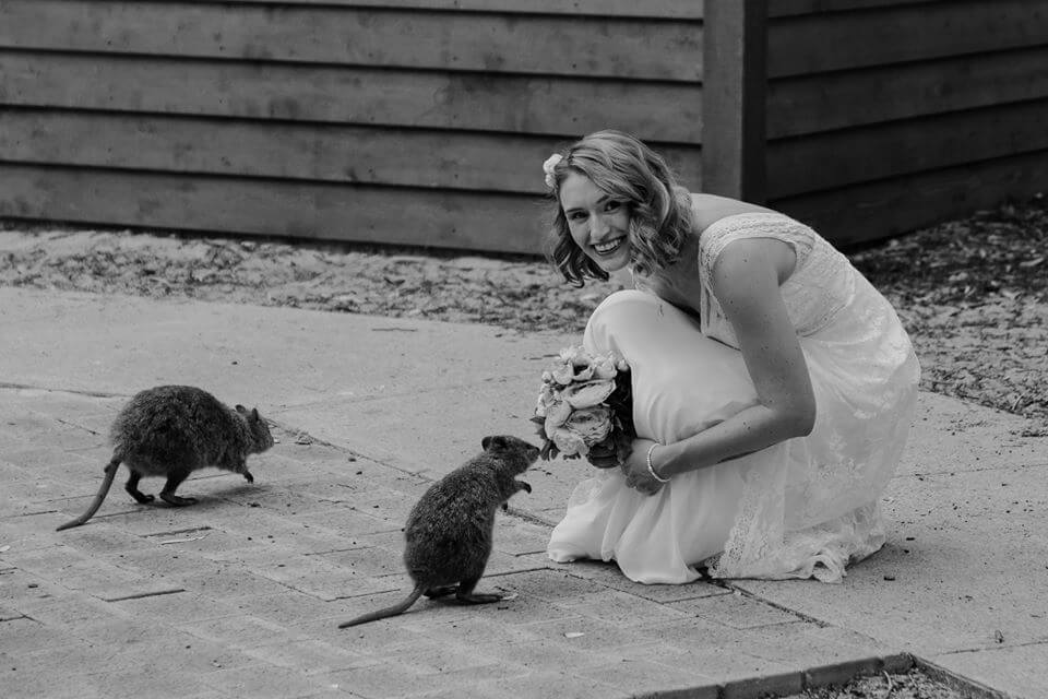https://lovebird.gdcdevelopment.online/wp-content/uploads/2015/09/Ina-Quokkas.jpg