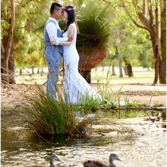 https://lovebird.gdcdevelopment.online/wp-content/uploads/2020/07/Udi-Jia-3-540x540.jpg