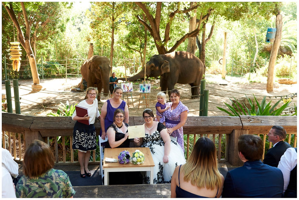 Same-Sex-WEdding-Blog-Main-Photo-TAG-Same-Sex-Weddings-Love-Bird-Ceremonies-Perth-Zoo.jpg
